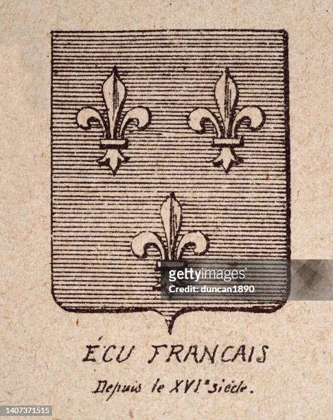 wappen oder heraldischer schild, französisches wappen aus dem 16. jahrhundert, fleur de lis auf gestreiftem hintergrund - fleur de lis stock-grafiken, -clipart, -cartoons und -symbole