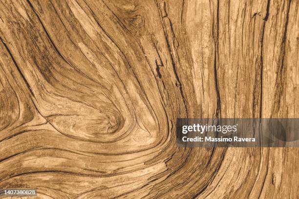Ridge Texture Pattern Timber Ridge Photos and Premium High Res Pictures - Getty Images