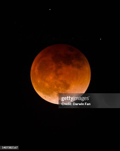 may super flower blood moon eclipse - super moon stock pictures, royalty-free photos & images