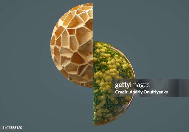 contrast hemispheres - biofuel stock pictures, royalty-free photos & images