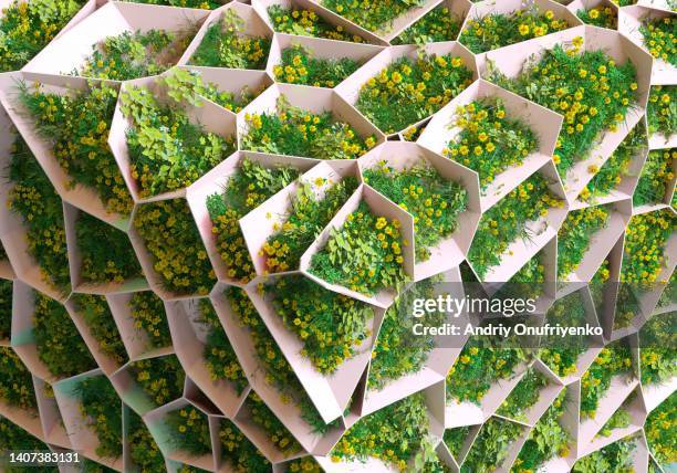 green organic pattern - social change stock pictures, royalty-free photos & images