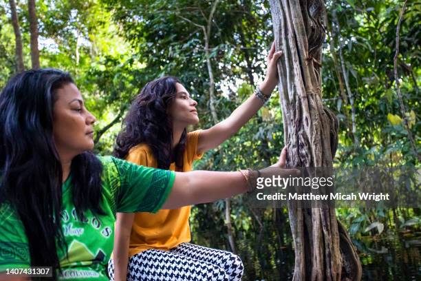 a woman connects with nature by touching a tree in the amazon rainforest. - amazon vines stock-fotos und bilder