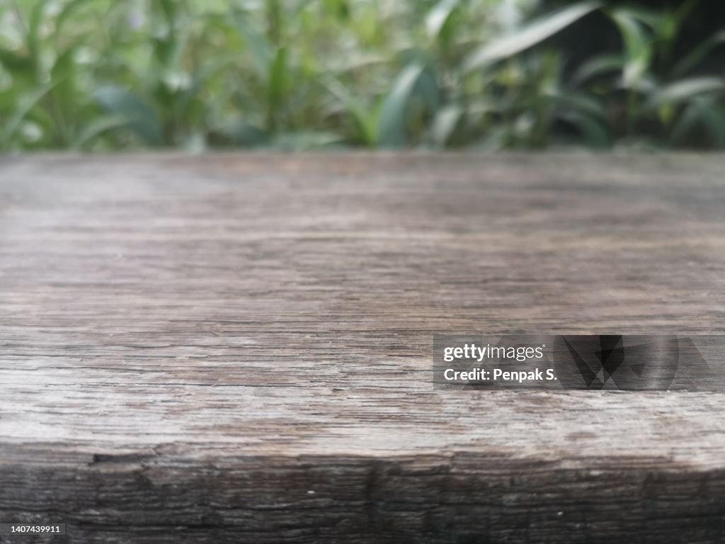 Wooden on green leaves nature background