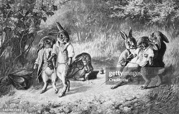 two rabbits after a fight, anthropomorphic concept - lagomorphs stock illustrations