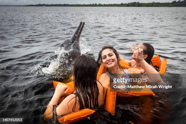 women swim in the amazon river with pink dolphons known as botos. - delphine forest stock-fotos und bilder