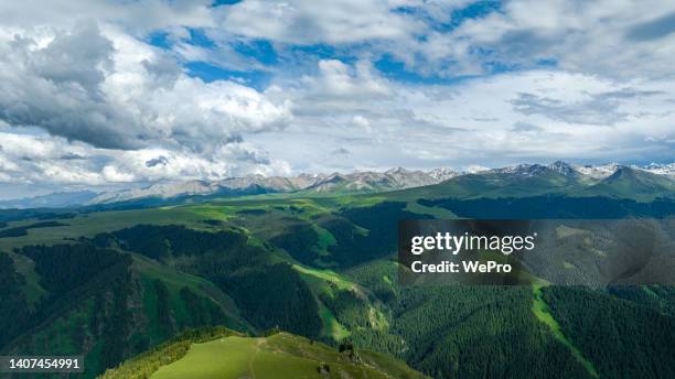 green mountains - green mountain range stock pictures, royalty-free photos & images