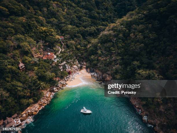 ハリスコ州ボカデトマトランのコロミトスビーチ周辺の熱帯雨林。 - puerto vallarta ストックフォトと画像