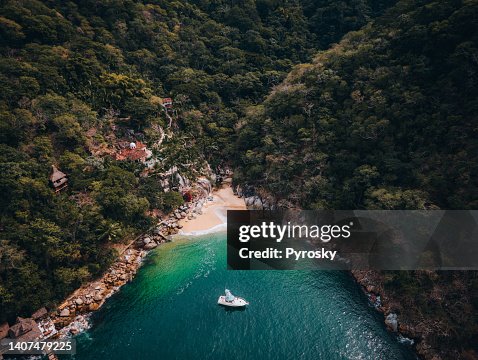 Tropical forest around Colomitos Beach on Boca de Tomatlan, Jalisco. Tropical forest around Colomitos Beach on Boca de Tomatlan, Jalisco.