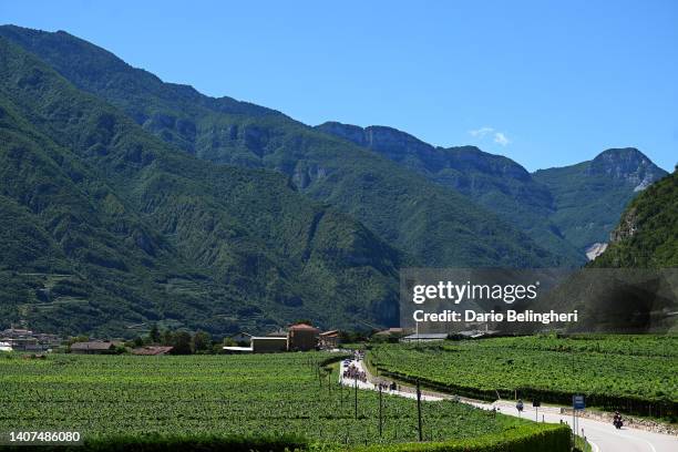 General view of the peloton passing through a vineyards fields during the 33rd Giro d'Italia Donne 2022 - Stage 8 a 104,7km stage from Rovereto to...