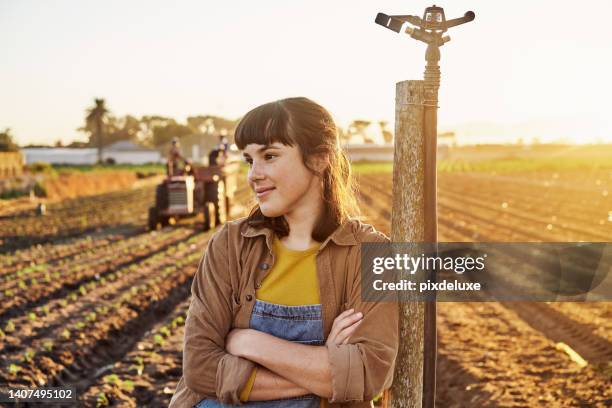 a confident farmer working on a farm thinking about the future of sustainable agriculture at sunset. a determined young woman in a field, proud of her harvest of organic crops with arms crossed - farmer arms crossed stock pictures, royalty-free photos & images