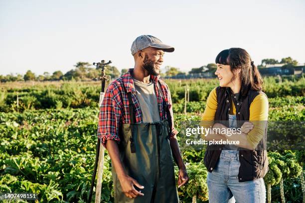 deux jeunes agriculteurs travaillent sur un jardin agricole biologique durable pour cultiver de la végétation dans l’agro-industrie. des collègues discutent et planifient la récolte croissante de cultures fraîches tout en marchant sur un champ vert - garden talking photos et images de collection