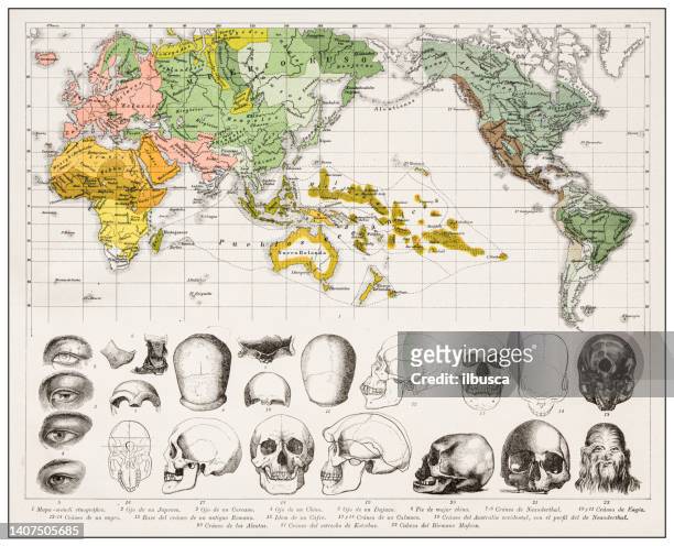 stockillustraties, clipart, cartoons en iconen met antique engraving collection, ethnography: world map - enciclopedia