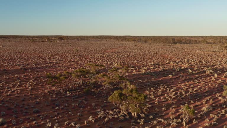 Goldfields Region Color 46 Goldfields Region Stock Videos, Footage, & 4K Video Clips - Getty Images
