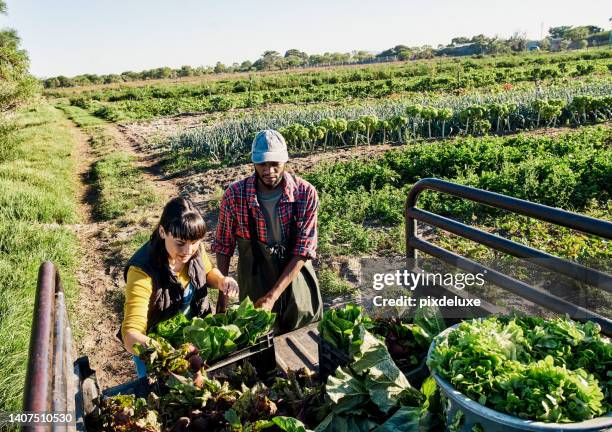 Market Gardening/Truck Farming: Boost Your Profits Now
