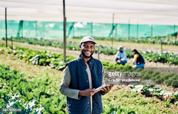 portrait of happy young farmer using digital tablet while working on organic sustainable farm to cultivate vegetation in agribusiness. man using technology to prepare harvest and monitor plant growth - invoerapparaat stockfoto's en -beelden