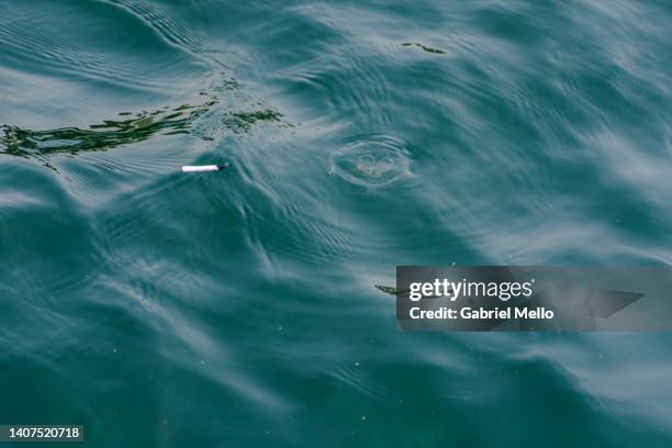 cigarette butt beside a jellyfish in the bosphorus strait - stubs stock pictures, royalty-free photos & images