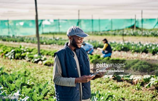 happy young farmer using digital tablet while working on organic sustainable farm to cultivate vegetables in agriculture. man using technology to prepare harvest and monitor plant growth in a field - agriculture happy stockfoto's en -beelden