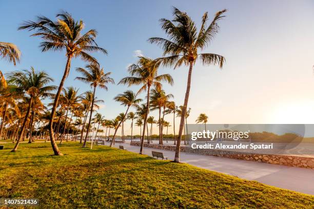 south beach and lummus park at sunrise, miami beach, florida, usa - ocean drive stock pictures, royalty-free photos & images