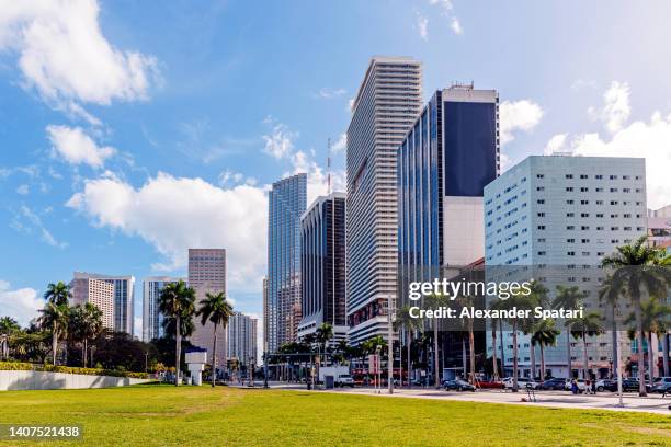 skyscrapers in miami downtown on a sunny day, florida, usa - miami skyline 個照片及圖片檔