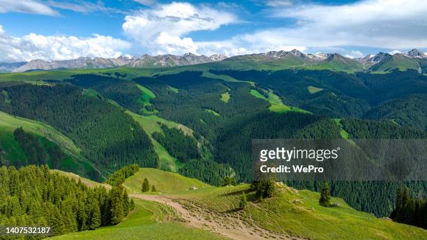green mountains - green mountain range stock pictures, royalty-free photos & images