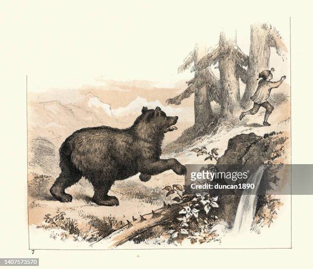 bear chasing a boy in the swiss mountains, victorian 1880s, 19th century - chase stock illustrations