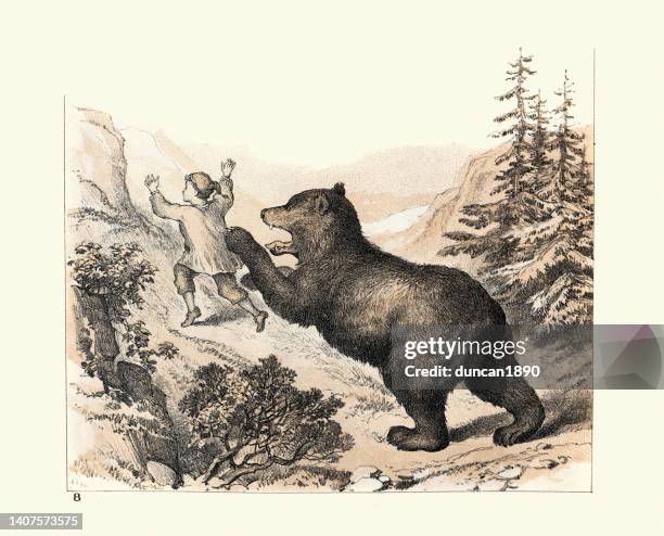 bear attacking a boy in the swiss mountains, victorian 1880s, 19th century - chase stock illustrations