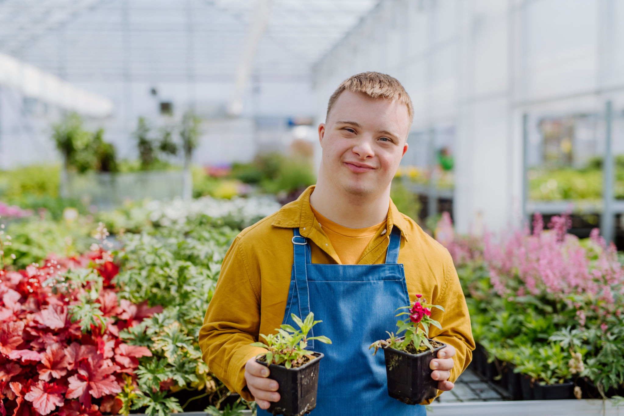 Happy young employee with Down syndrome working in garden centre, taking care of flowers. Happy young employee with Down syndrome working in garden centre, taking care of flowers.