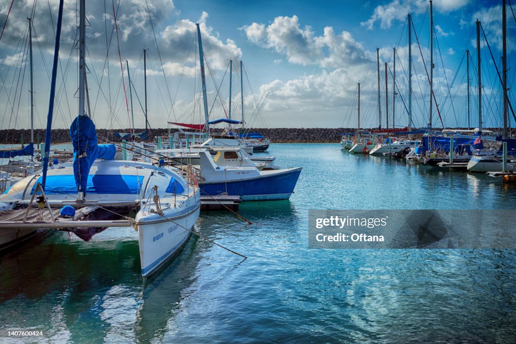 The marina
