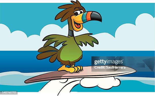 ilustraciones, imágenes clip art, dibujos animados e iconos de stock de tucán surfista - amigos surferos