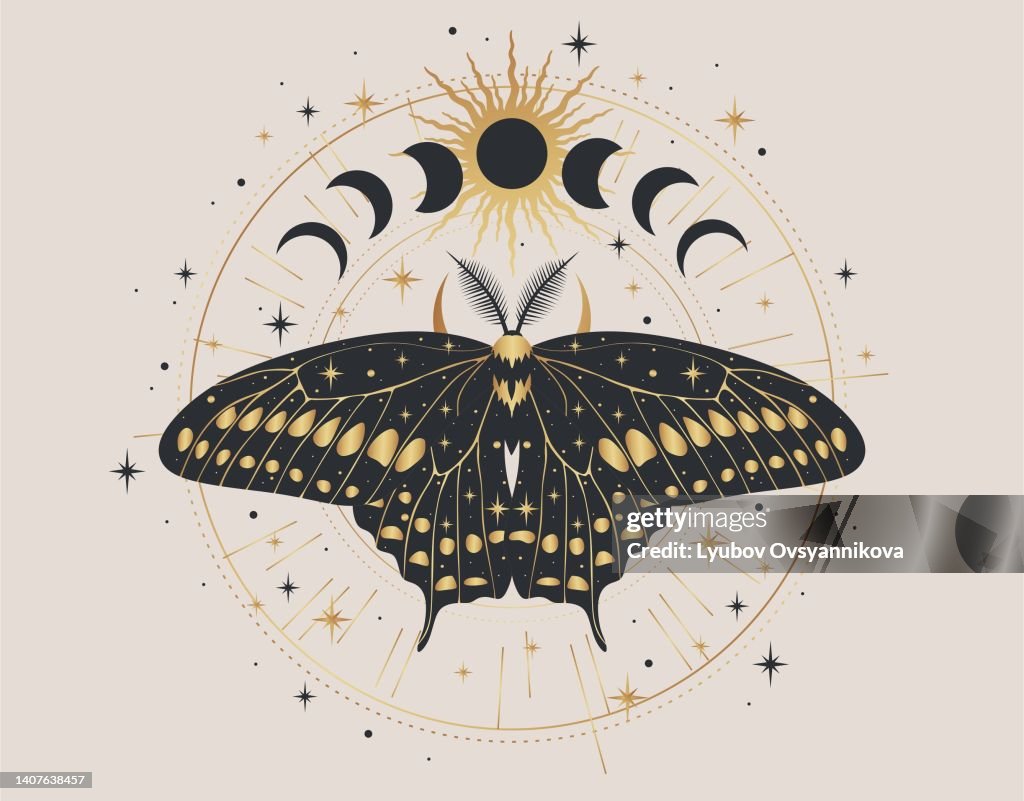 Samolepka Mystic gold moth isolated vector illustration.