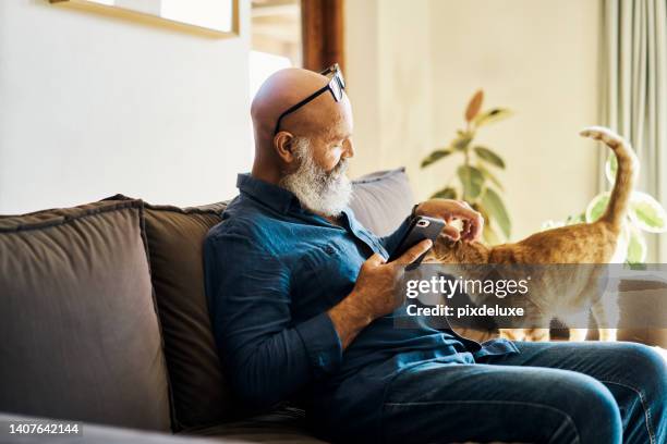 älterer mann, der ein telefon benutzt, um online zu surfen und mit seiner katze auf der couch zu hause zu spielen. reifer mann, der sich entspannt und sein haustier streichelt, während er in den sozialen medien sucht. rentner liest eine sms - mann handy couch stock-fotos und bilder