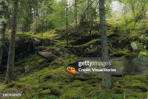 Femme contemplant la nature de la Suède se relaxant sur la mousse dans la forêt Femme contemplant la nature de la Suède se relaxant sur la mousse dans la forêt