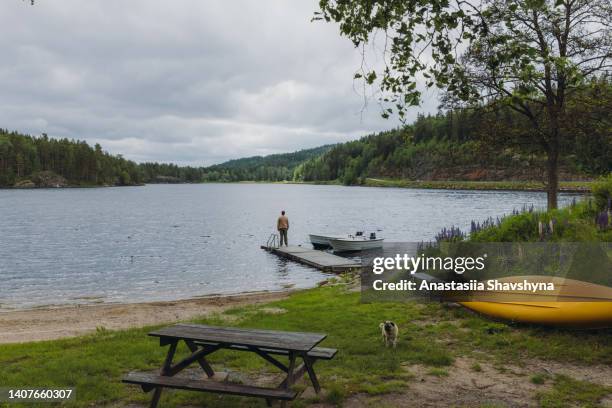 male meets the perfect summer morning with a dog by the lakeshore in sweden - great north dog walk 個照片及圖片檔