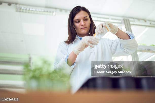 woman planting seeds in lab - same person different outfits stock-fotos und bilder