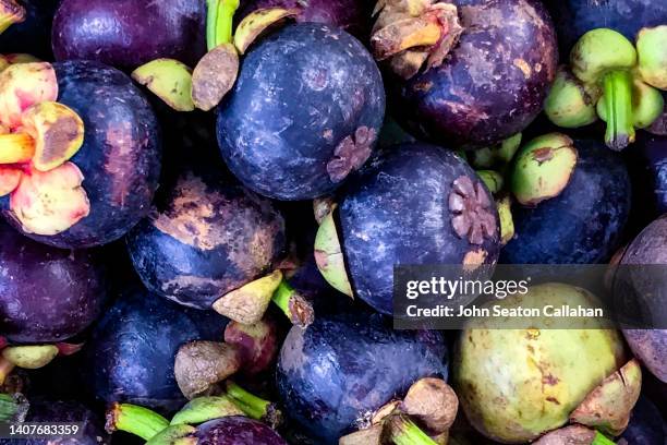 singapore, mangosteen fruit - mangosteen stockfoto's en -beelden