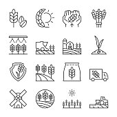 Growing wheat icons set. Cultivation of cereal plants. Agricultural fields. Agriculture. Agrarian business, linear icon collection. Line with editable stroke