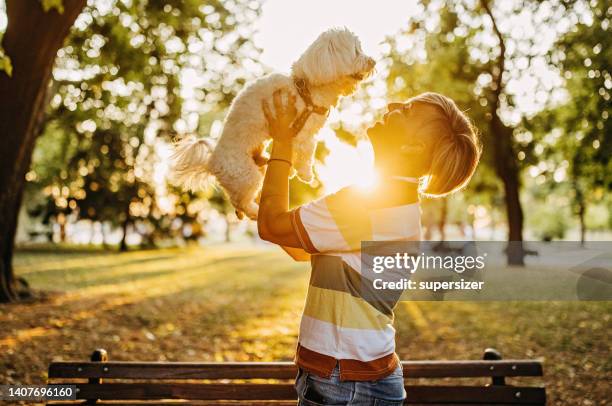 you are the only one - woman dog bench stock pictures, royalty-free photos & images