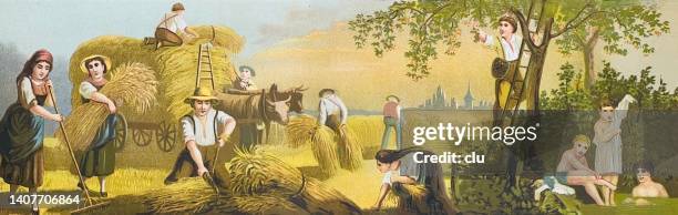sommer-bauernhöfe - agricultural activity stock-grafiken, -clipart, -cartoons und -symbole