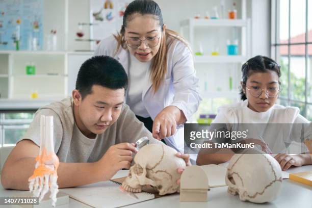 profesora de biología mostrando a sus alumnos anatomía del cuerpo humano - anatomista fotografías e imágenes de stock
