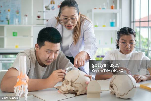 biology teacher showing her students anatomy of human body - anatomist stock pictures, royalty-free photos & images