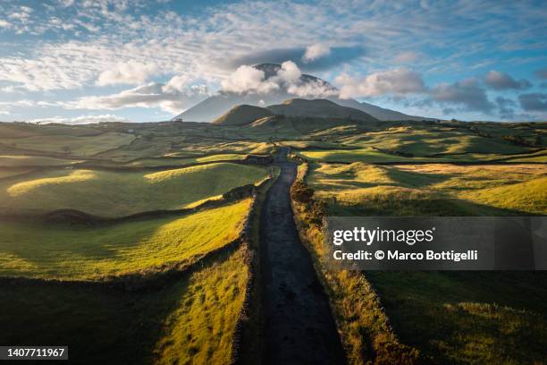 rural road leading to pico volcano, azores islands, portugal - pico azoren stockfoto's en -beelden