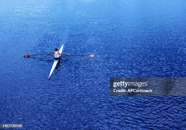 woman rower in a single scull - cambridge massachusetts - charles river stock pictures, royalty-free photos & images