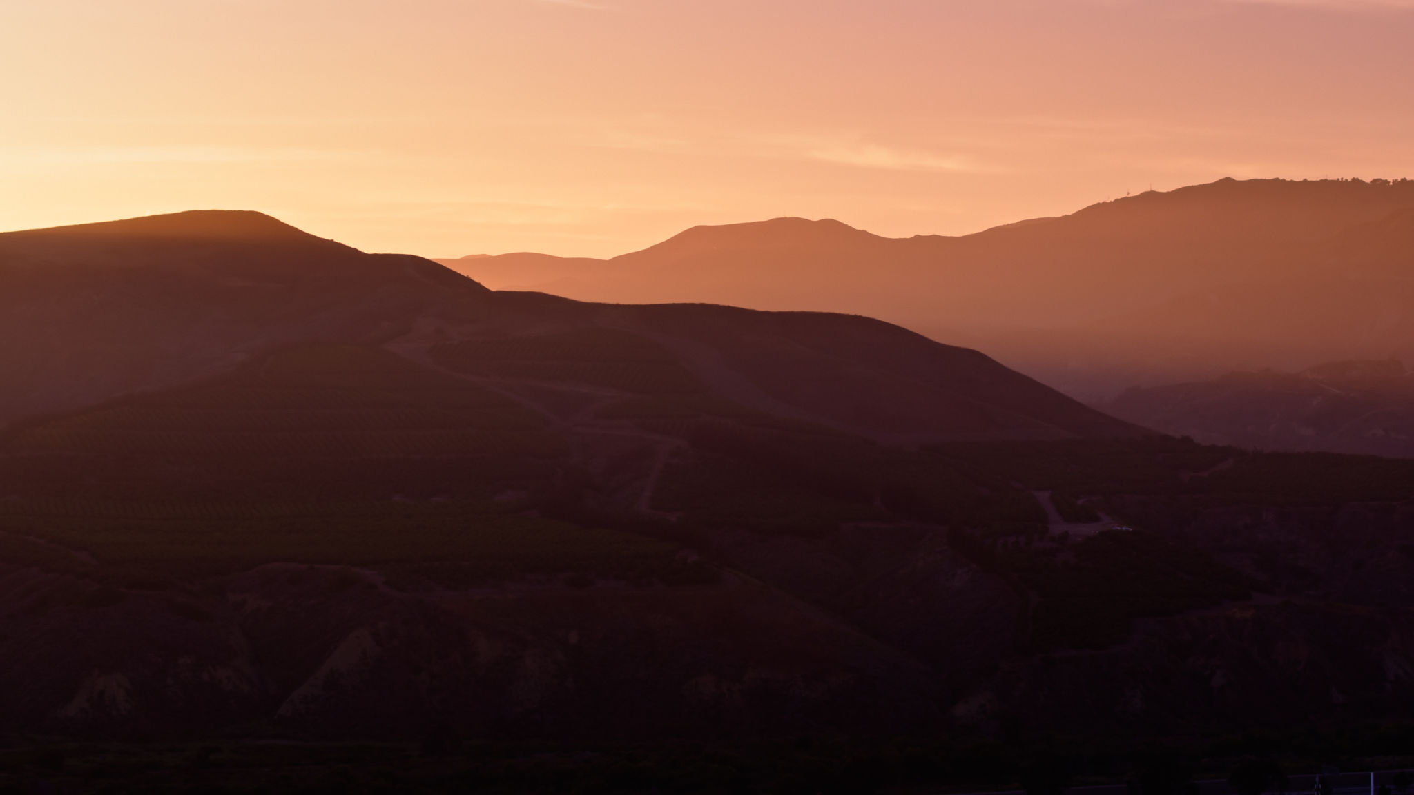 ventura county winery