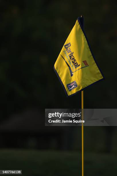 Detail view of a pin flag during the third round of the Barbasol Championship at Keene Trace Golf Club on July 09, 2022 in Nicholasville, Kentucky.