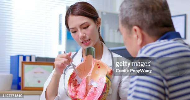 doctor explain heart model - aortas stock pictures, royalty-free photos & images
