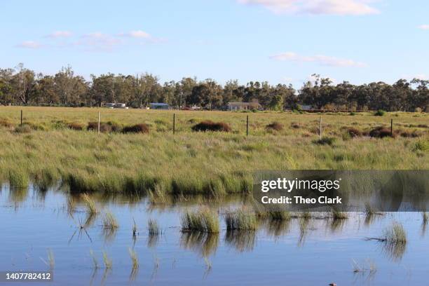 flood reaches farm fence - flood plain stock pictures, royalty-free photos & images