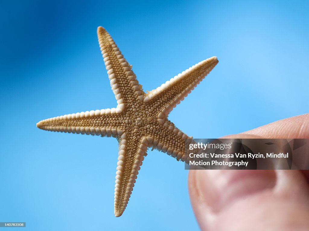 Starfish