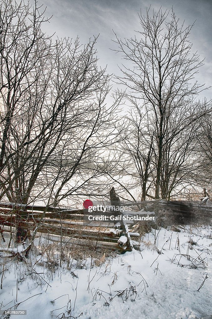 Red balloon in winter