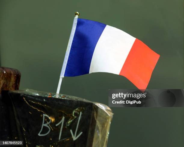 small french flag - tri color photos et images de collection