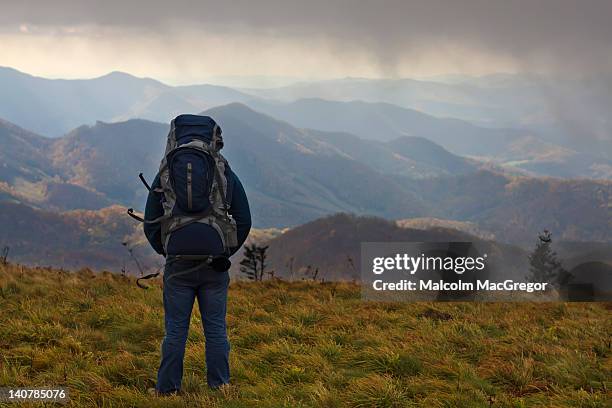 hiker looking out over mountains - murfreesboro stock pictures, royalty-free photos & images